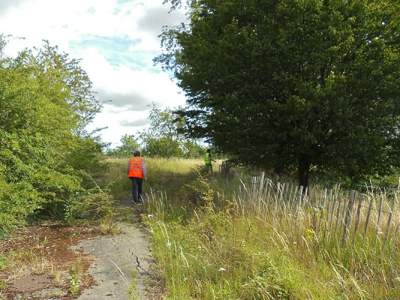 Islington Development Site Vegetation Clearance including 47 trees