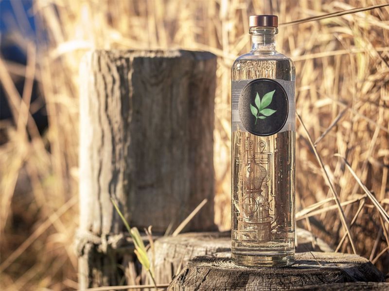 Will Japanese knotweed vodka save the bees?